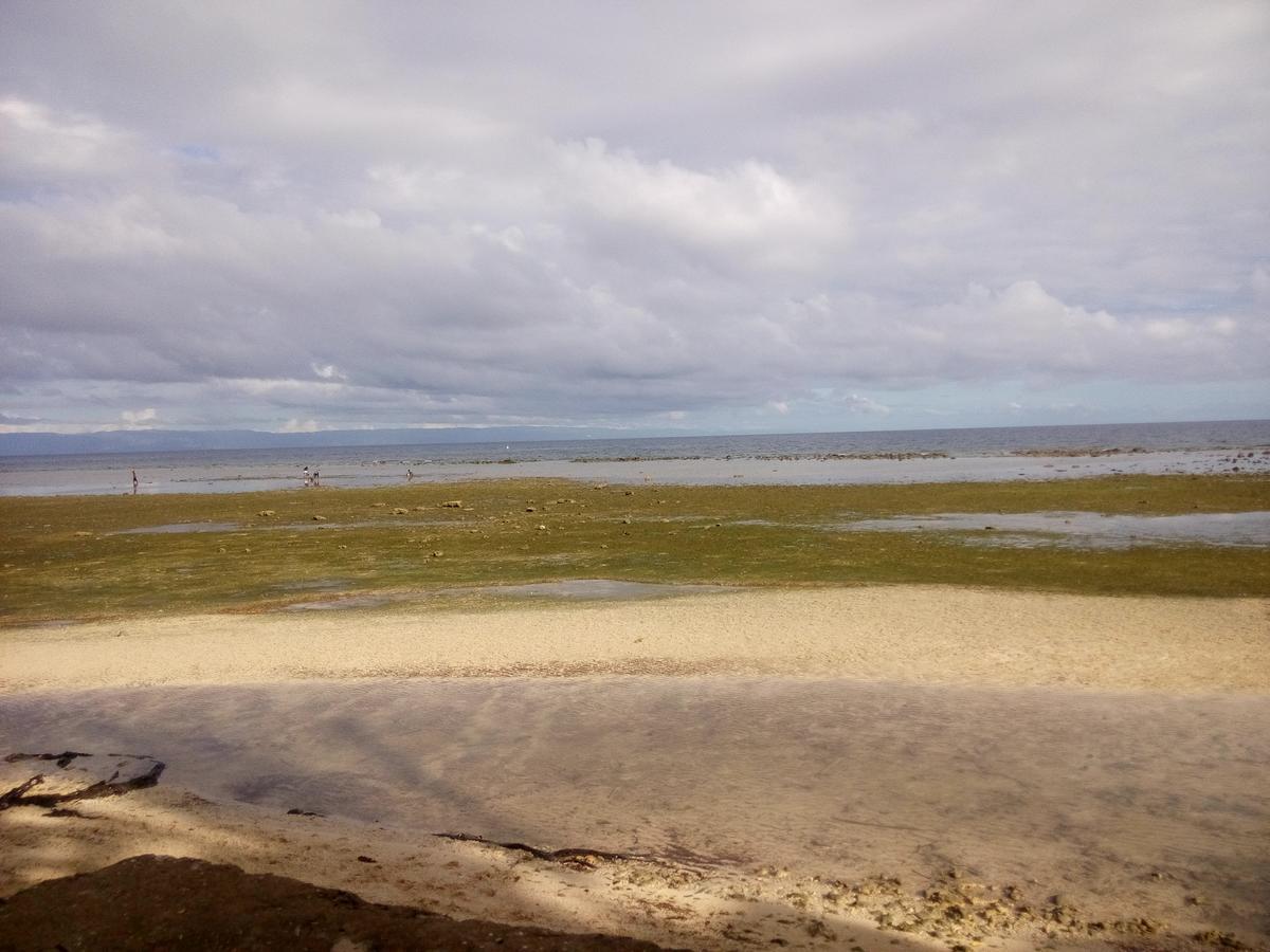 La Villa Alta Siquijor Dış mekan fotoğraf